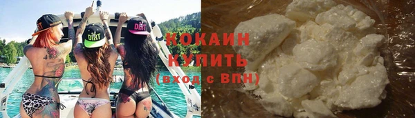 кокс Алексин