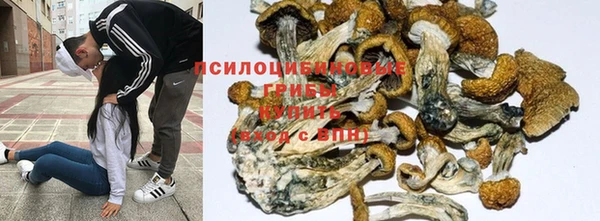 мет Алзамай