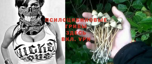 кокс Алексин