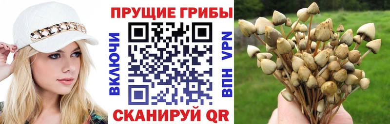 Псилоцибиновые грибы GOLDEN TEACHER  Апрелевка 